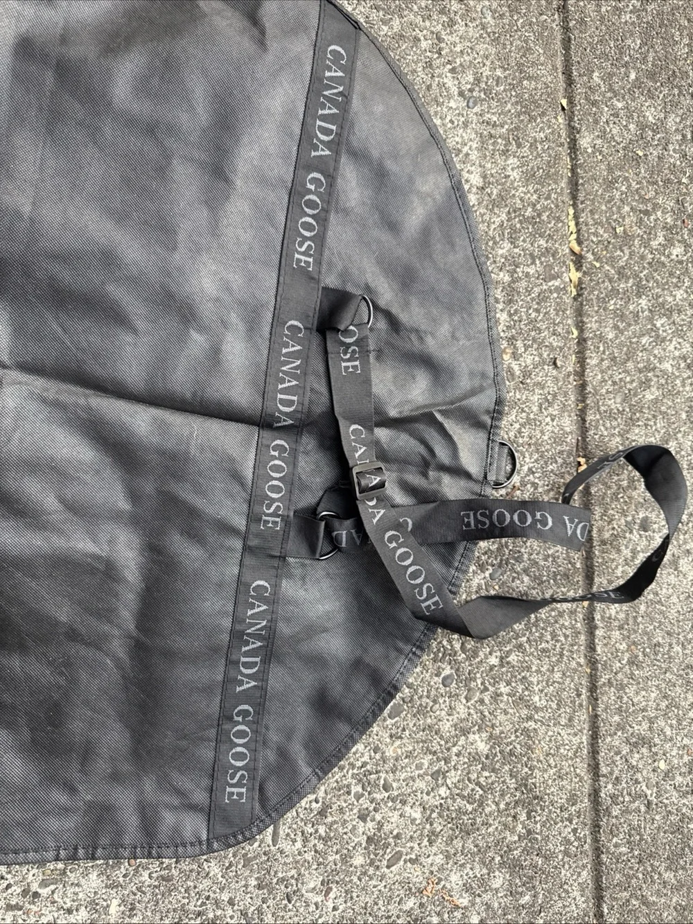 Canada Goose image shows